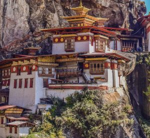 Bhutan Karuya BhramanTea